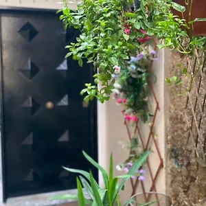 Maison d'hôtes Il Vicoletto