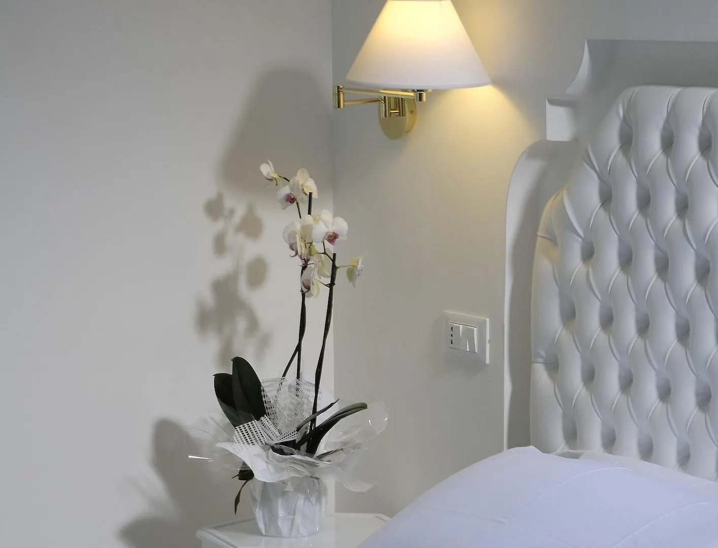 Hotel Al Cavallino Bianco Riccione